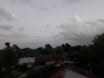 Zankhariya