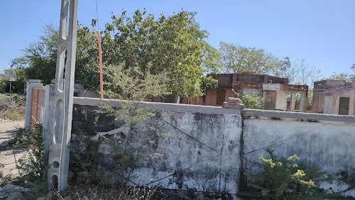 Paneli