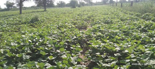 Veera jhunjhun Parlu balotra rajashtan