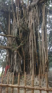 हनुमान मंदिर