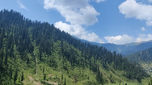 Kalarooch