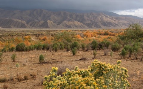 New Cuyama