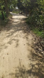 Sayala