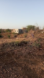 Raliati Gujjar