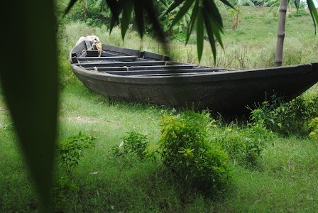 Ratulia
