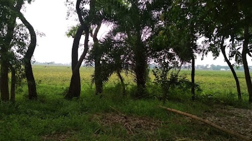 Dobhi