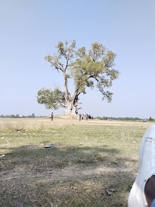 श्री राम मंदिर कोहबरवा