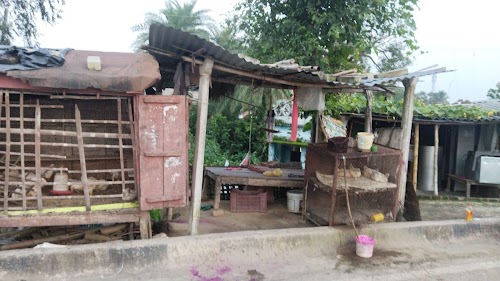 Chand murga farm