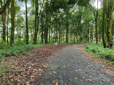 Bengdubi Picnic Spot