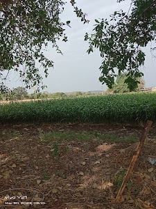 Bhandaria Baypass Road