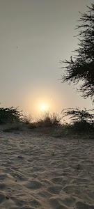 धारड़ासर चौहानो, की बस्ती