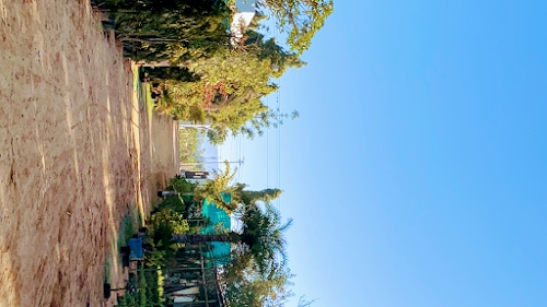 Shree Amar Nursery
