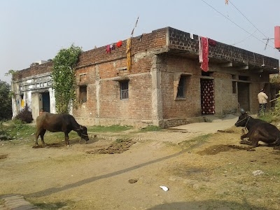 Baurihi