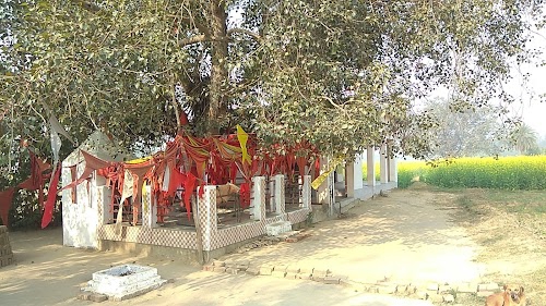 Bankhandi baba Mandir
