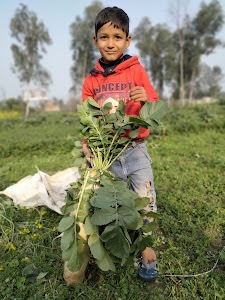 Rihan poultry farm