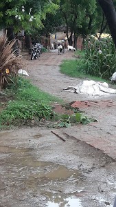 Mubarak Pur Pikar