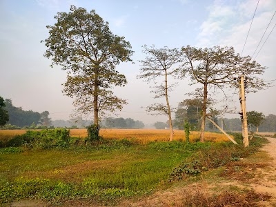 Malharia