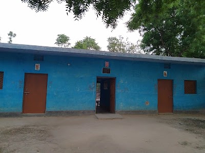 Tulsipur