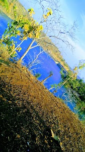 Kolukhedi