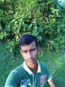 Dinhata P