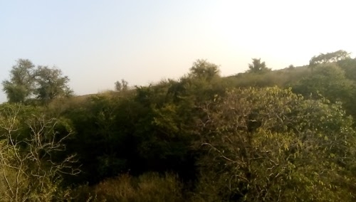 Vinega