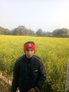 Jay Baljati Baba Naupura