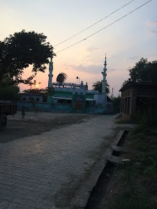Mahoi