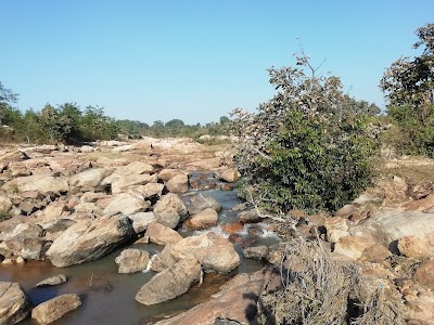 बाघ लाता