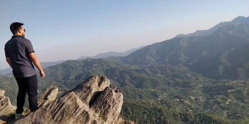 Chauli Ki Jali