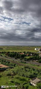 Barvala