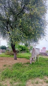 Gandhi Bari