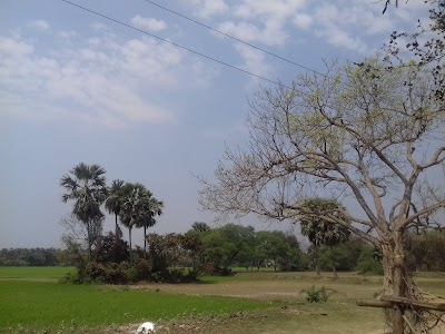 Malia Primary School