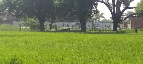 Sri Krishna Inter College Amilo Deeha Karchhana Prayagraj ( SKIC )