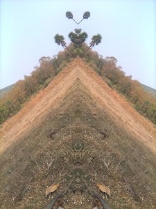 Mituani