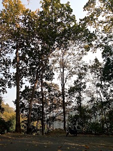 Bahingtaar Reserved Forest