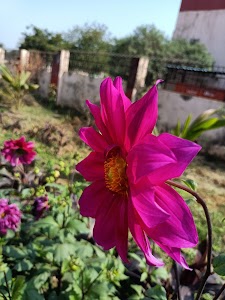 Maa mangala residency
