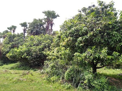 MAHADEV MANDIR ASTHAN