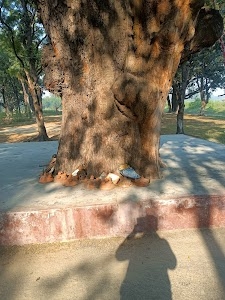 Mata ka mandir