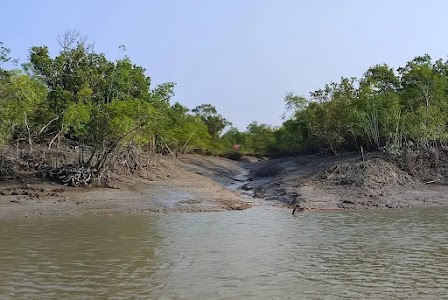 Sundorbon Tour Travel