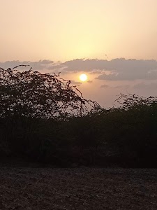 Lyali Khera