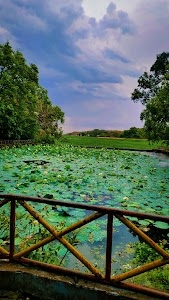 Shivpuri