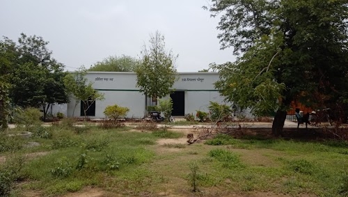 Primary school