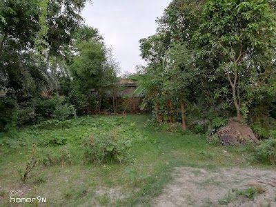 Sarwara