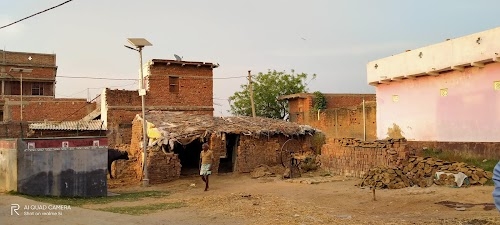 Paliya
