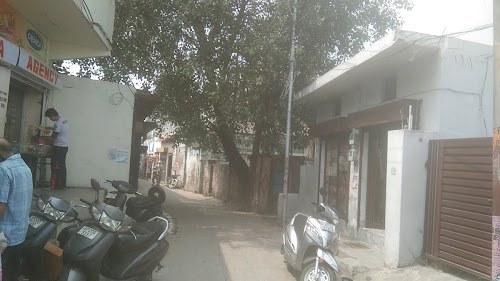 Chandigarh Palace