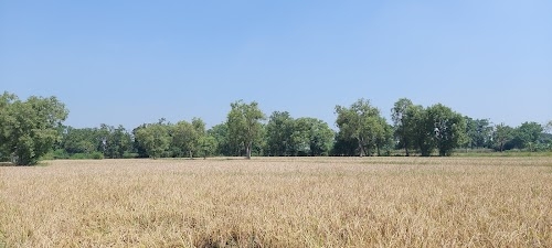 Suktapali
