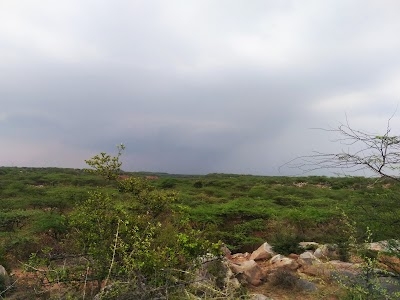 Bhati Mines