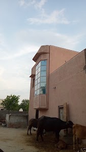 Sardarshahar