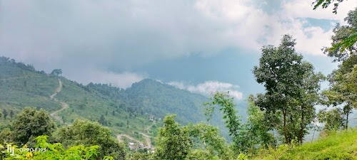 TATA MANGO GARDEN