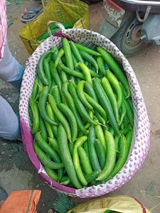Raigarh